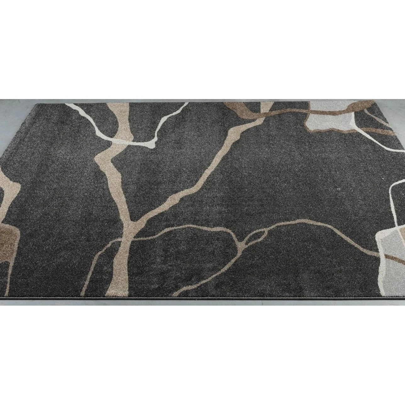 Minimalist Indoor Rug With A Black Background